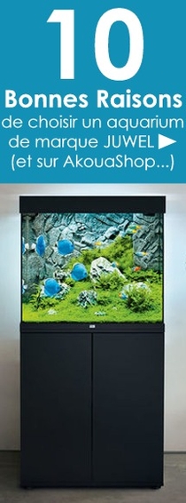 achat-aquarium-Juwel-sur-akouashop